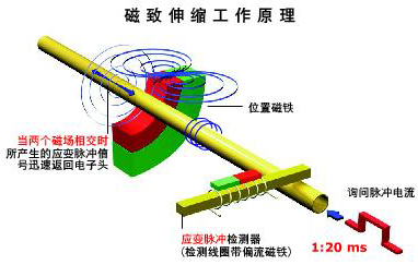 防腐型磁致伸縮液位計工作原理圖